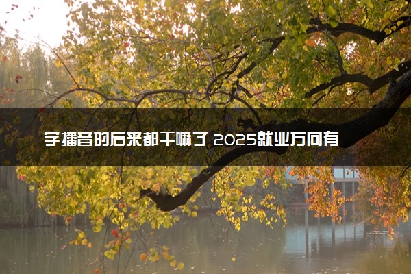 学播音的后来都干嘛了 2025就业方向有哪些