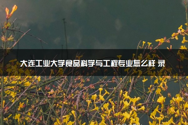 大连工业大学食品科学与工程专业怎么样 录取分数线多少