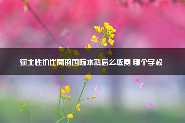 河北性价比高的国际本科怎么收费 哪个学校好