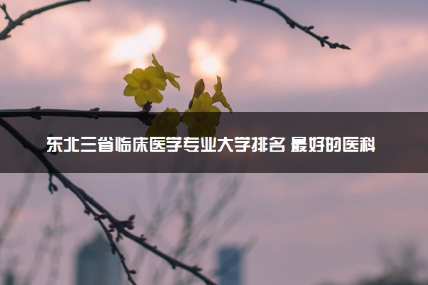 东北三省临床医学专业大学排名 最好的医科大学推荐