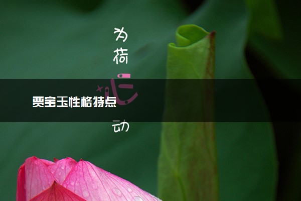 贾宝玉性格特点