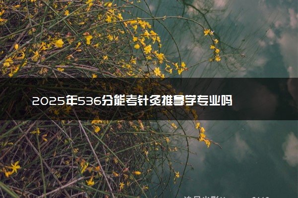 2025年536分能考针灸推拿学专业吗 536分针灸推拿学专业大学推荐