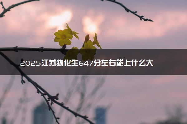 2025江苏物化生647分左右能上什么大学 可以报考的院校名单