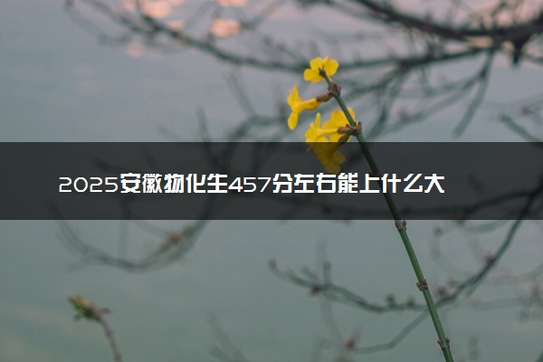2025安徽物化生457分左右能上什么大学 可以报考的院校名单