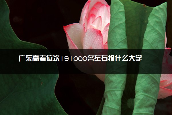 广东高考位次191000名左右报什么大学好（2025年参考）