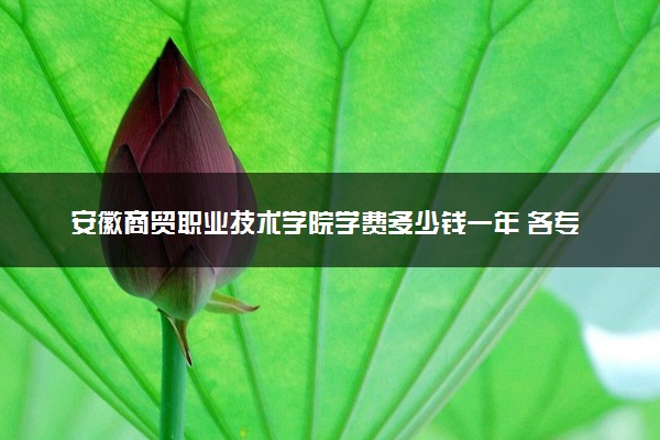 安徽商贸职业技术学院学费多少钱一年 各专业收费标准（2025年参考）