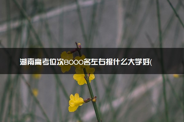 湖南高考位次8000名左右报什么大学好（2025年参考）