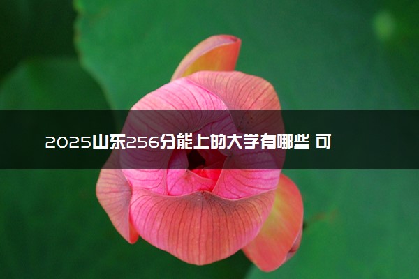 2025山东256分能上的大学有哪些 可以报考院校名单