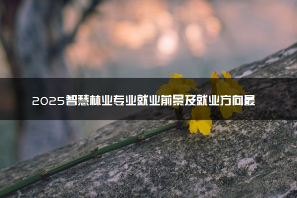 2025智慧林业专业就业前景及就业方向最新 好找工作吗