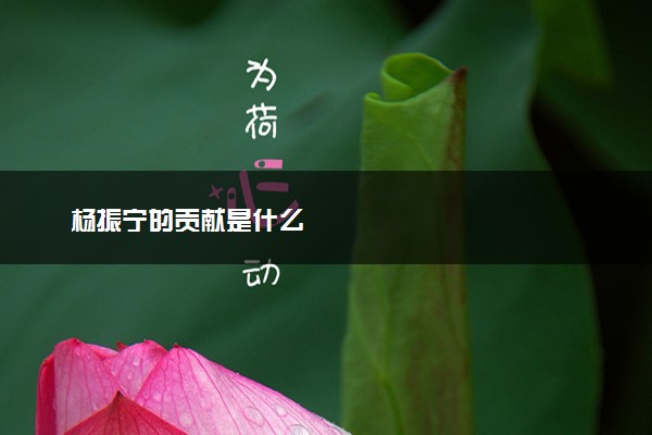 杨振宁的贡献是什么