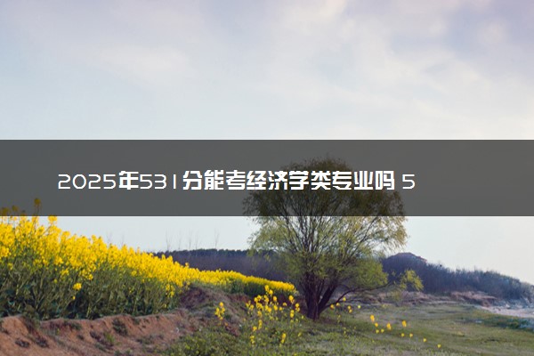 2025年531分能考经济学类专业吗 531分经济学类专业大学推荐