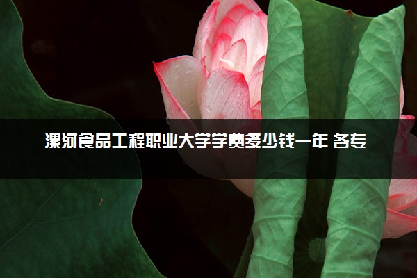 漯河食品工程职业大学学费多少钱一年 各专业收费标准（2025年参考）