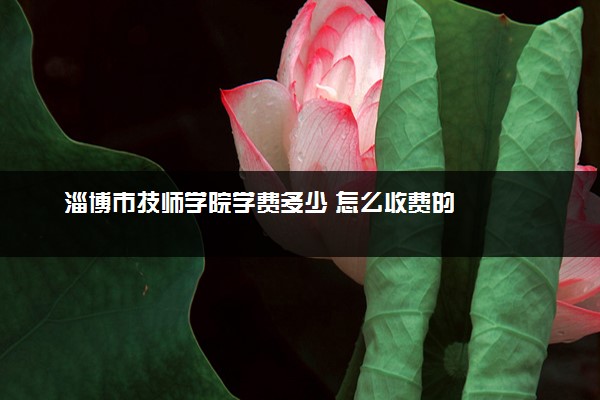 淄博市技师学院学费多少 怎么收费的