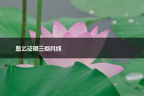 怎么证明三点共线