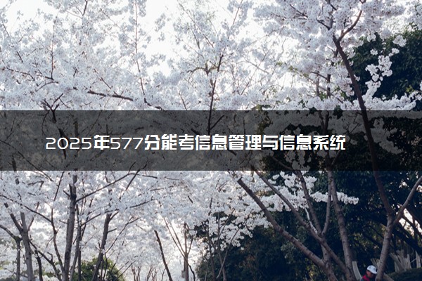 2025年577分能考信息管理与信息系统专业吗 577分信息管理与信息系统专业大学推荐