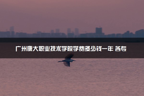 广州康大职业技术学院学费多少钱一年 各专业收费标准（2025年参考）