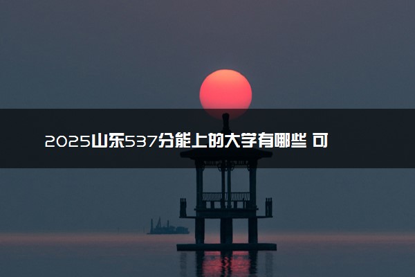 2025山东537分能上的大学有哪些 可以报考院校名单