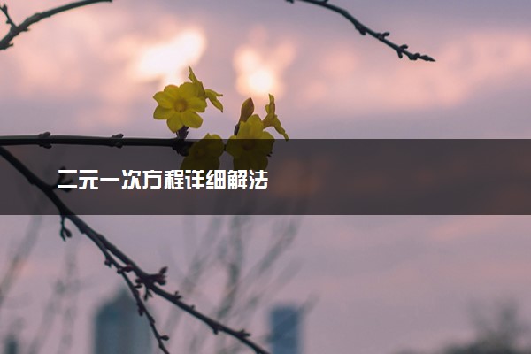 二元一次方程详细解法
