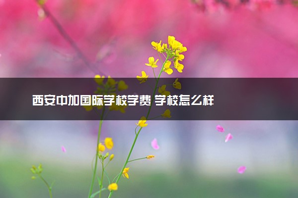 西安中加国际学校学费 学校怎么样