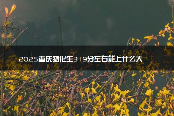 2025重庆物化生319分左右能上什么大学 可以报考的院校名单