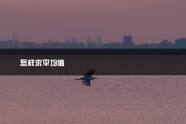 怎样求平均值