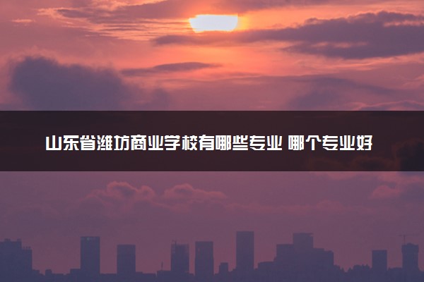 山东省潍坊商业学校有哪些专业 哪个专业好