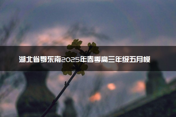 湖北省鄂东南2025年春季高三年级五月模拟考试题及答案汇总