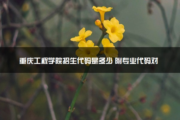 重庆工程学院招生代码是多少 附专业代码对照表（2025参考）