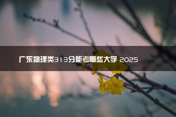 广东物理类313分能考哪些大学 2025考生稳上的大学名单