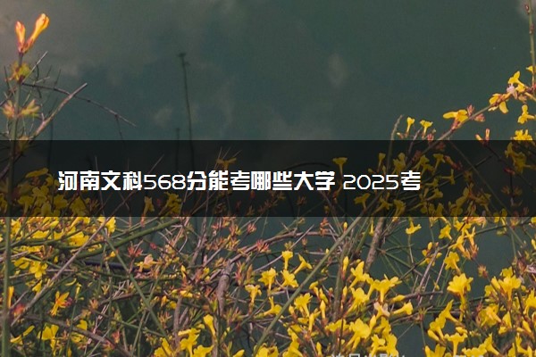 河南文科568分能考哪些大学 2025考生稳上的大学名单