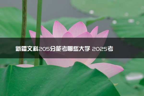新疆文科205分能考哪些大学 2025考生稳上的大学名单