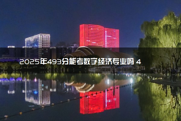 2025年493分能考数字经济专业吗 493分数字经济专业大学推荐