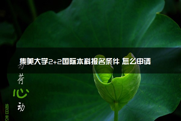 集美大学2+2国际本科报名条件 怎么申请