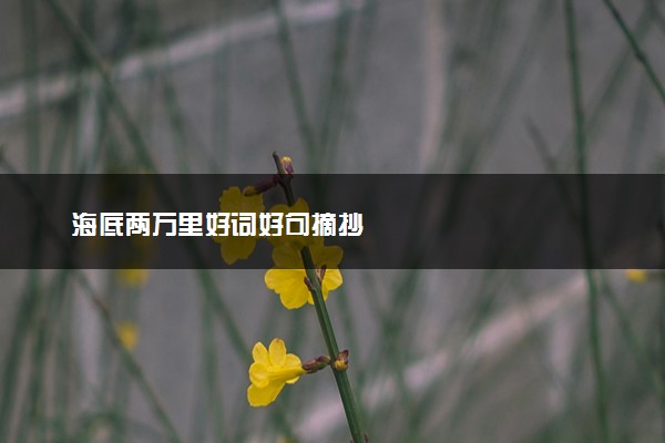 海底两万里好词好句摘抄