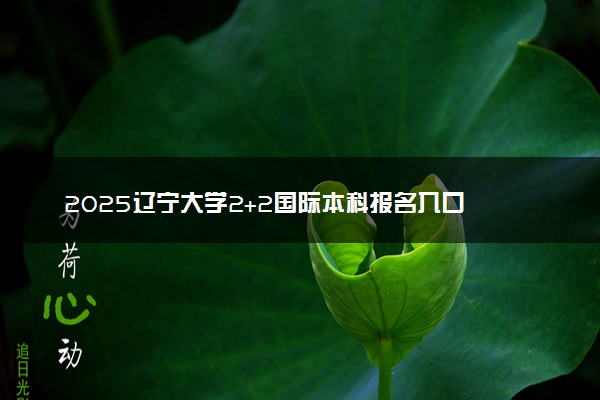 2025辽宁大学2+2国际本科报名入口 怎么报考