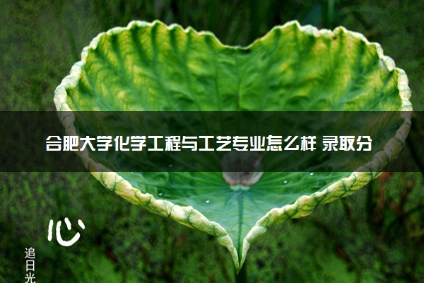 合肥大学化学工程与工艺专业怎么样 录取分数线多少
