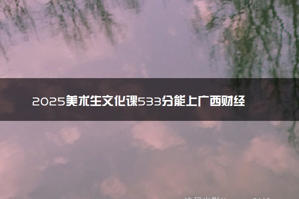 2025美术生文化课533分能上广西财经学院吗
