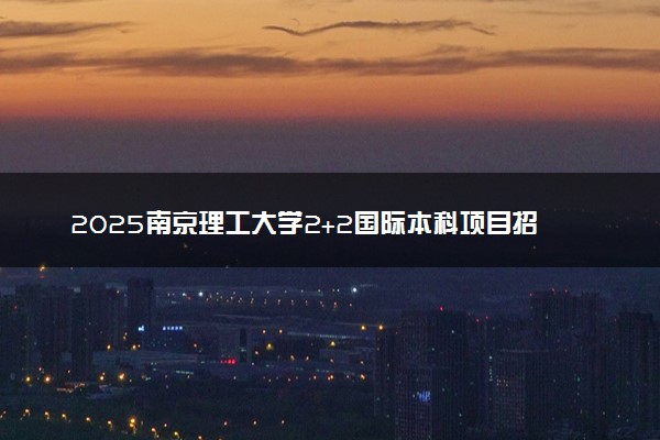 2025南京理工大学2+2国际本科项目招生简章