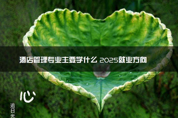 酒店管理专业主要学什么 2025就业方向有哪些