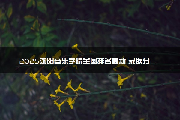 2025沈阳音乐学院全国排名最新 录取分数线是多少