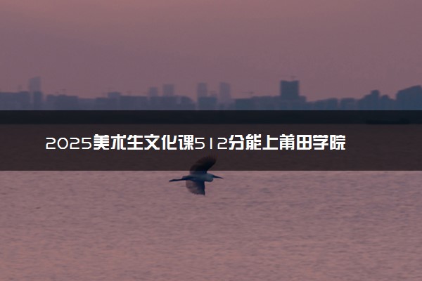 2025美术生文化课512分能上莆田学院吗