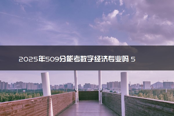 2025年509分能考数字经济专业吗 509分数字经济专业大学推荐