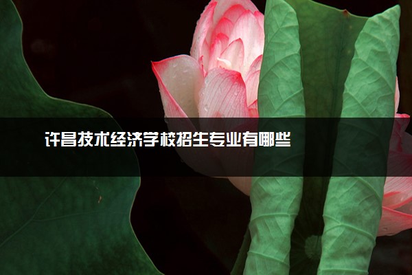 许昌技术经济学校招生专业有哪些