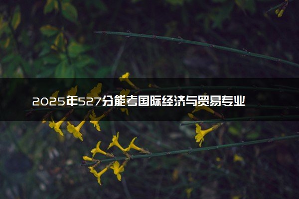 2025年527分能考国际经济与贸易专业吗 527分国际经济与贸易专业大学推荐
