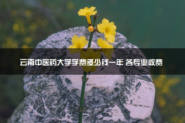 云南中医药大学学费多少钱一年 各专业收费标准（2025年参考）