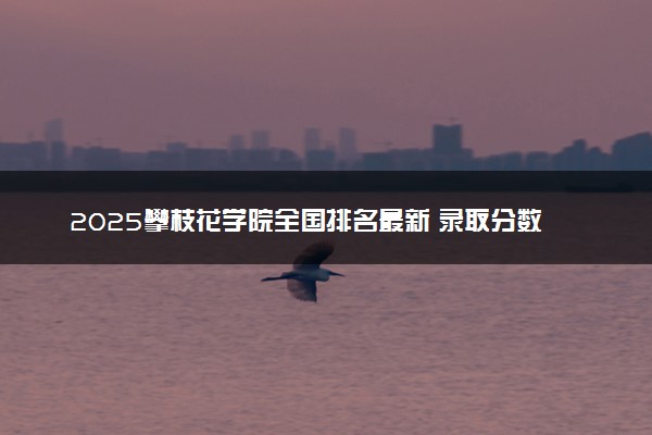 2025攀枝花学院全国排名最新 录取分数线是多少