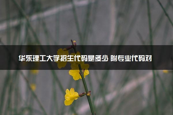 华东理工大学招生代码是多少 附专业代码对照表（2025参考）