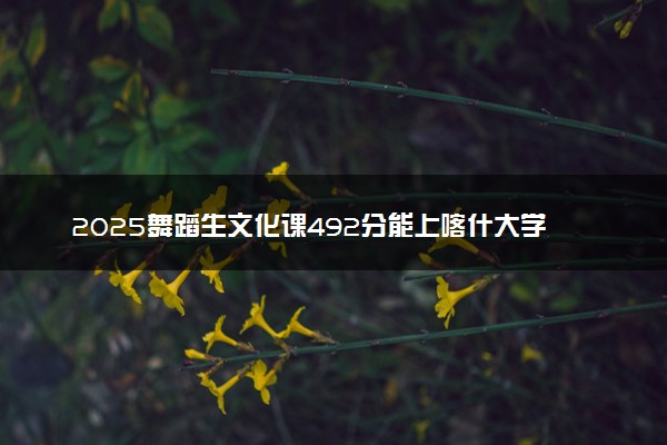 2025舞蹈生文化课492分能上喀什大学吗