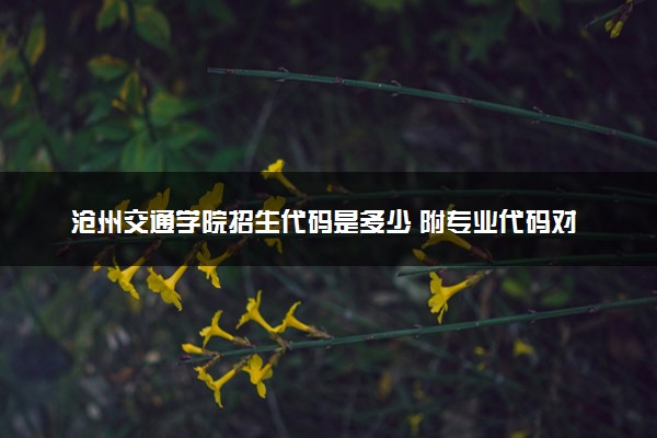 沧州交通学院招生代码是多少 附专业代码对照表（2025参考）