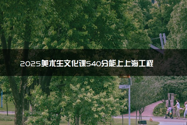 2025美术生文化课540分能上上海工程技术大学吗